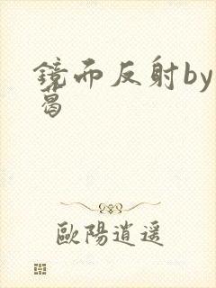 镜面反射by九葛
