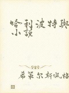 哈利波特与密室小说