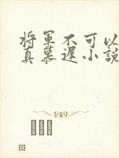将军不可以魏云真慕迟小说笔趣阁