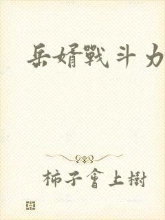 岳婿战斗力封面