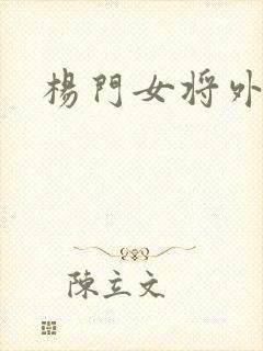 杨门女将外传