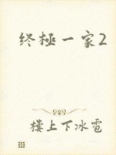 终极一家2封面