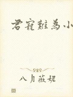 君宠难为小说
