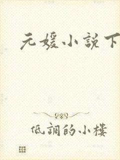 元媛小说下载封面