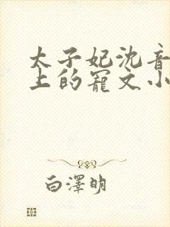 太子妃沈音和皇上的宠文小说