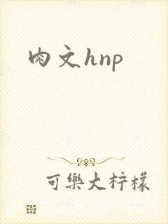 肉文hnp
