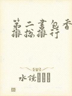 第二书包香辣肉排总排行