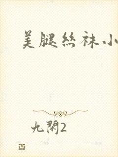 美腿丝袜小说