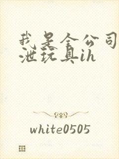 我是全公司的发泄玩具ih