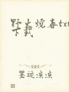 野火烧春txt下载封面