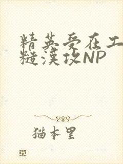 精英受在工地被糙汉攻NP