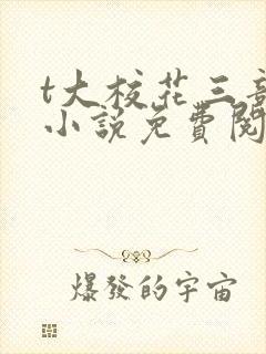 t大校花三部曲小说免费阅读全文