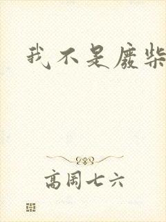 我不是废柴