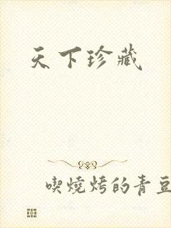 天下珍藏封面