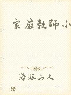 家庭教师小说封面