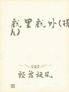 戏里戏外(现场h)