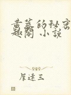 黄蓉的秘密 笔趣阁 小说封面