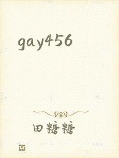 gay456封面