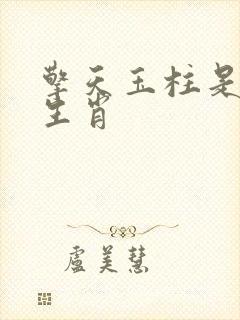 擎天玉柱是什么生肖封面