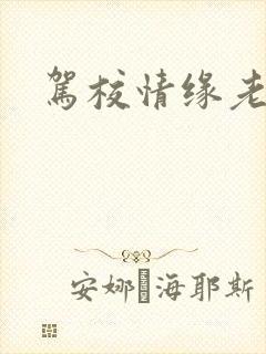 驾校情缘老赵