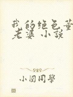 我的绝色董事长老婆 小说封面