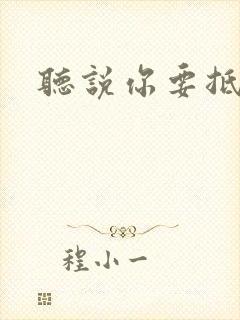 听说你要抵抗我