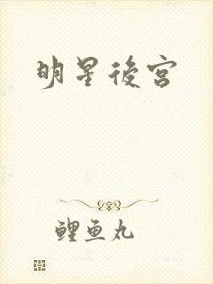 明星后宫封面