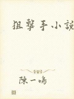狙击手小说