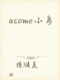 acome小鸟