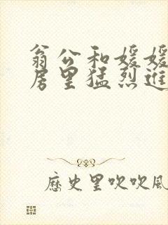 翁公和媛媛在厨房里猛烈进出封面