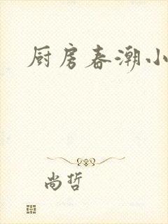厨房春潮小说