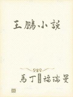 王鹏小说