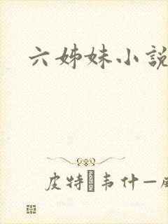 六姊妹小说