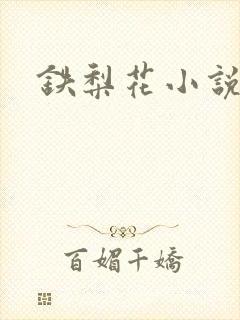 铁梨花小说封面