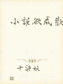 小说欲成欢