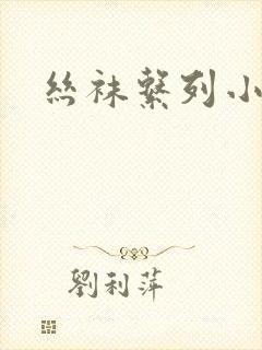 丝袜系列小说