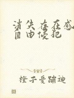 消失存在感消失自由侵犯