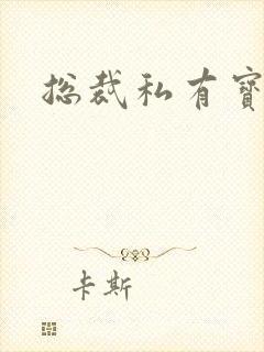 总裁私有宝贝