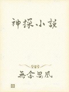 神探小说