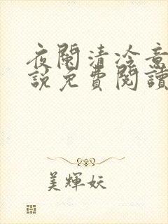 夜阑清冷意欢小说免费阅读