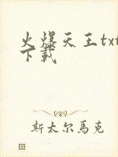 火爆天王txt下载