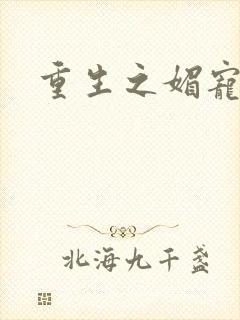 重生之媚宠系统