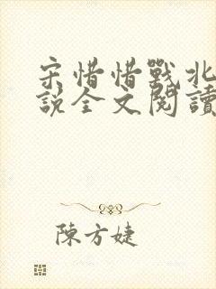 宋惜惜战北望小说全文阅读
