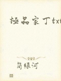 极品家丁txt