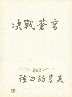 决战苍穹