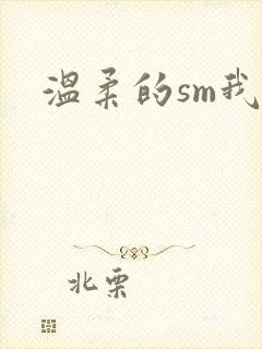 温柔的sm我
