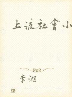上流社会小说