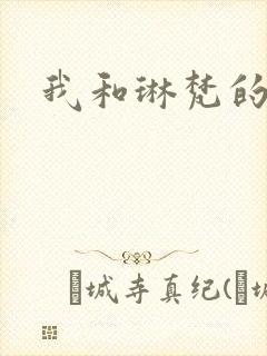 我和琳梵的故事