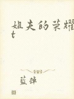 姐夫的荣耀txt
