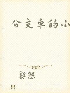公交车的小说